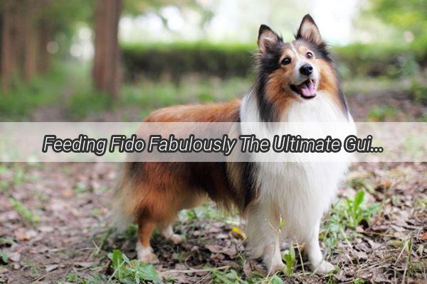 Feeding Fido Fabulously The Ultimate Guide to Raising a Happy and Healthy Eating Dog